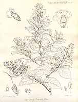  no thumbnail available