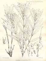  no thumbnail available