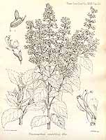  no thumbnail available