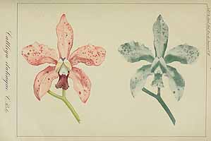  no thumbnail available