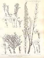  no thumbnail available