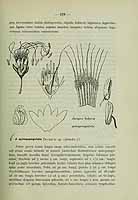  no thumbnail available