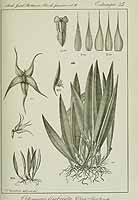  no thumbnail available