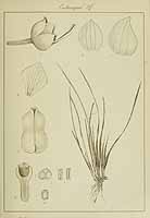  no thumbnail available