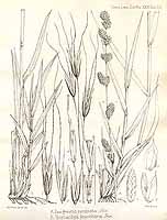  no thumbnail available