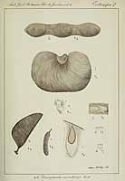  no thumbnail available