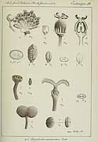  no thumbnail available