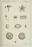  no thumbnail available