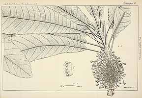  no thumbnail available