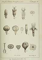  no thumbnail available