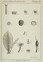  no thumbnail available