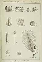  no thumbnail available