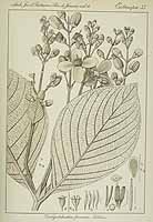  no thumbnail available