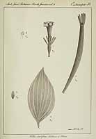  no thumbnail available