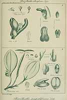  no thumbnail available