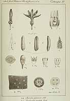  no thumbnail available