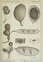  no thumbnail available