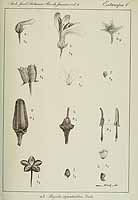  no thumbnail available