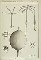  no thumbnail available