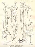  no thumbnail available