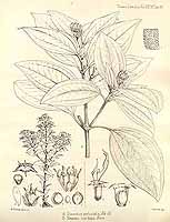  no thumbnail available