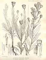  no thumbnail available