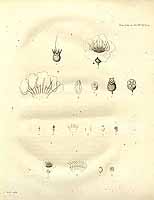  no thumbnail available