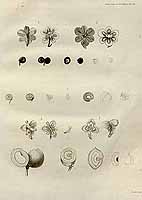  no thumbnail available