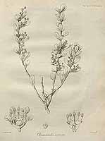  no thumbnail available