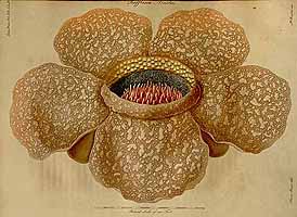  no thumbnail available