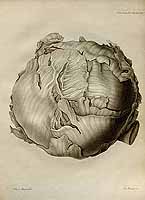  no thumbnail available