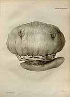  no thumbnail available