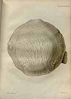  no thumbnail available