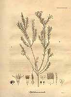  no thumbnail available