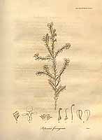  no thumbnail available