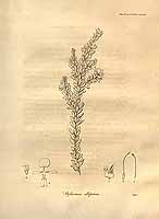  no thumbnail available