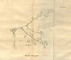  no thumbnail available