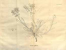  no thumbnail available