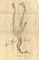  no thumbnail available