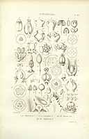  no thumbnail available