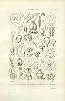  no thumbnail available