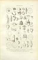  no thumbnail available