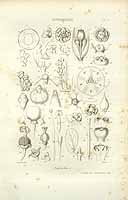  no thumbnail available