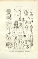  no thumbnail available