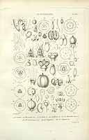  no thumbnail available