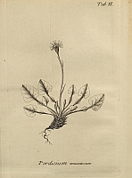  no thumbnail available