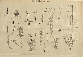  no thumbnail available