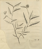  no thumbnail available