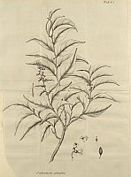  no thumbnail available