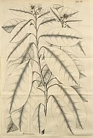  no thumbnail available